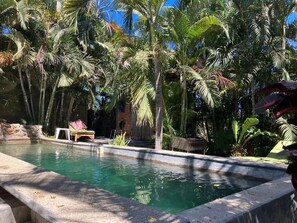 Pool - Beautiful Casita - centrally located in Sayulita just blocks to the beach (Sayulita)