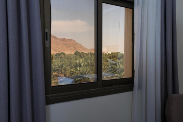 Standard Room, 1 Katil Raja (King), Non Smoking | Pemandangan dari bilik