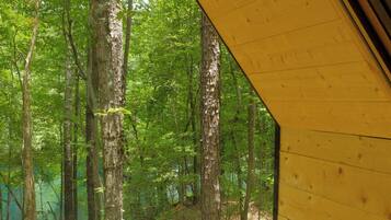 Kabin Deluks, pemandangan danau | Interior