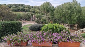 Property grounds - Relaxing House (Arzachena)