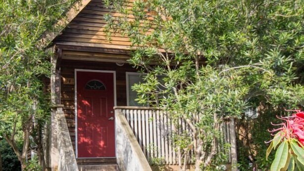 A wooden cabin with a red door, surrounded by lush greenery and flowering plants.