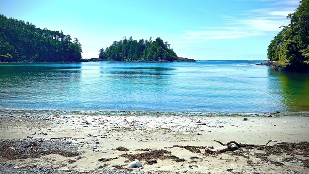 A beach with calm water, a sandy shore, and dense forested hills.