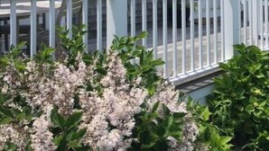 A house with a porch, a flag, and a chimney. - 2 bedroom, 2 bathroom (Nantucket)