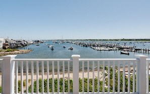 Property grounds - 5 bedroom, 7 bathroom (Nantucket)