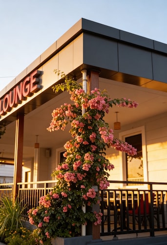 SOMA Dream Hotel 