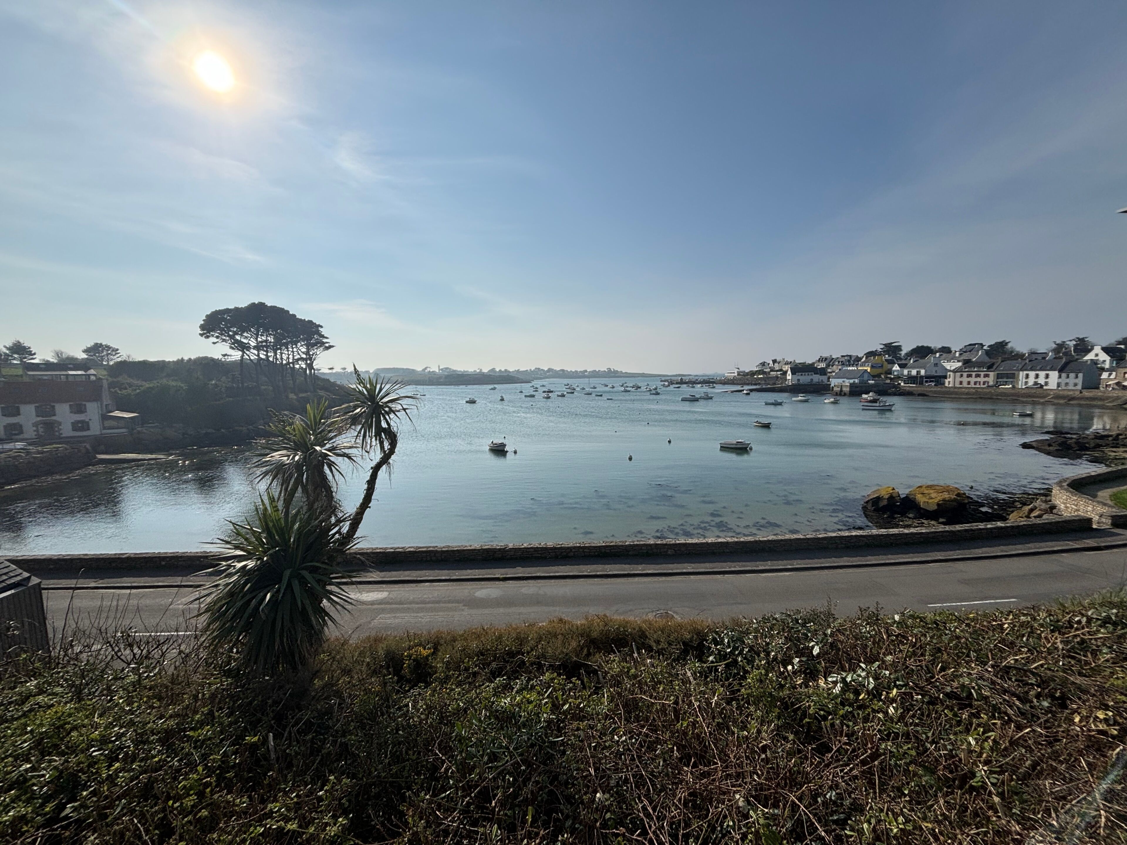 Vista costera con agua tranquila, barcos y edificios a lo largo de la orilla.