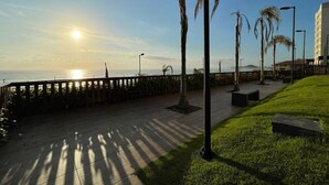 Eine Uferpromenade mit Holzzaun, Palmen und einer Bank.