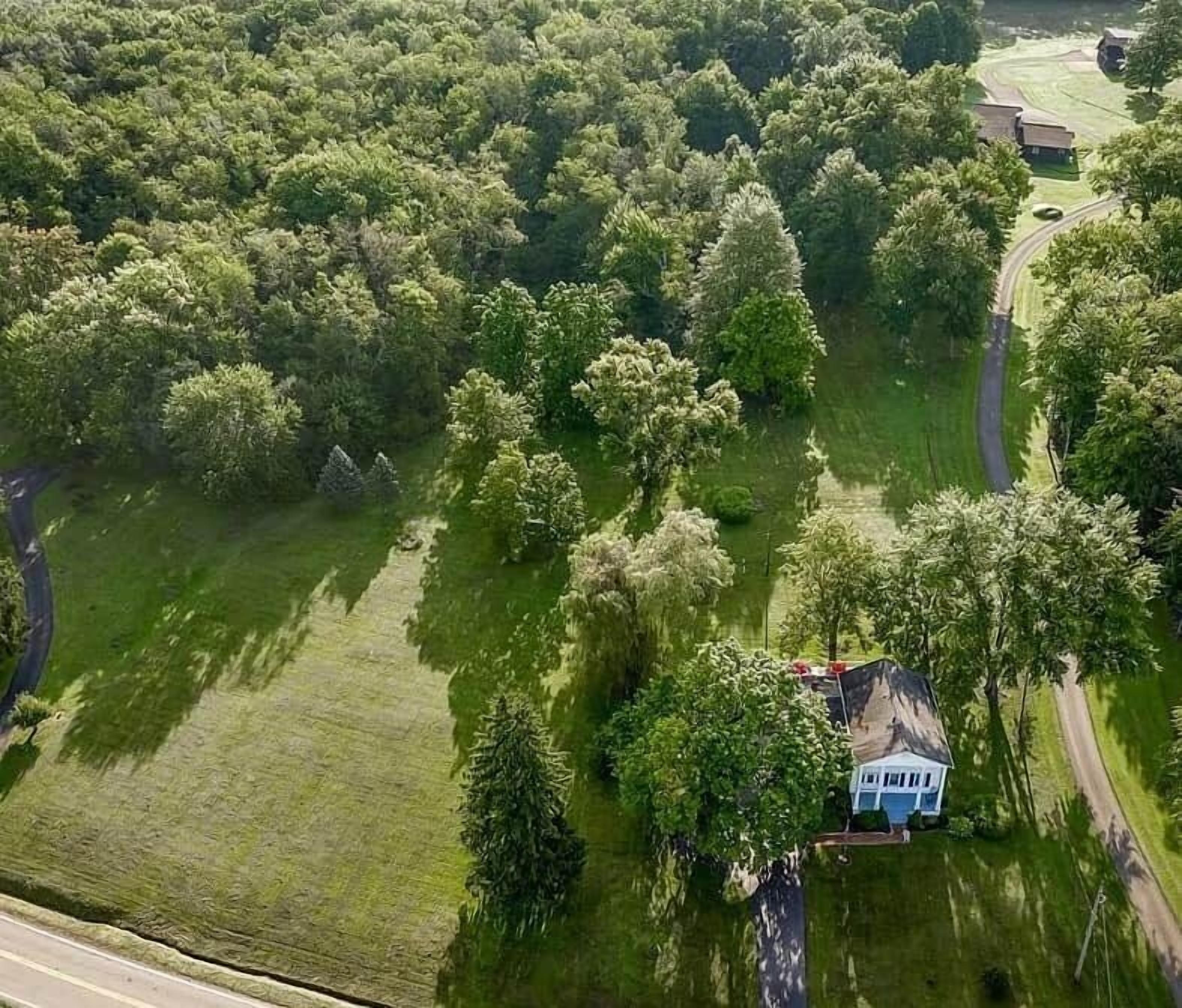 Vista aérea de una zona residencial con una casa rodeada de abundante vegetación y una carretera despejada.