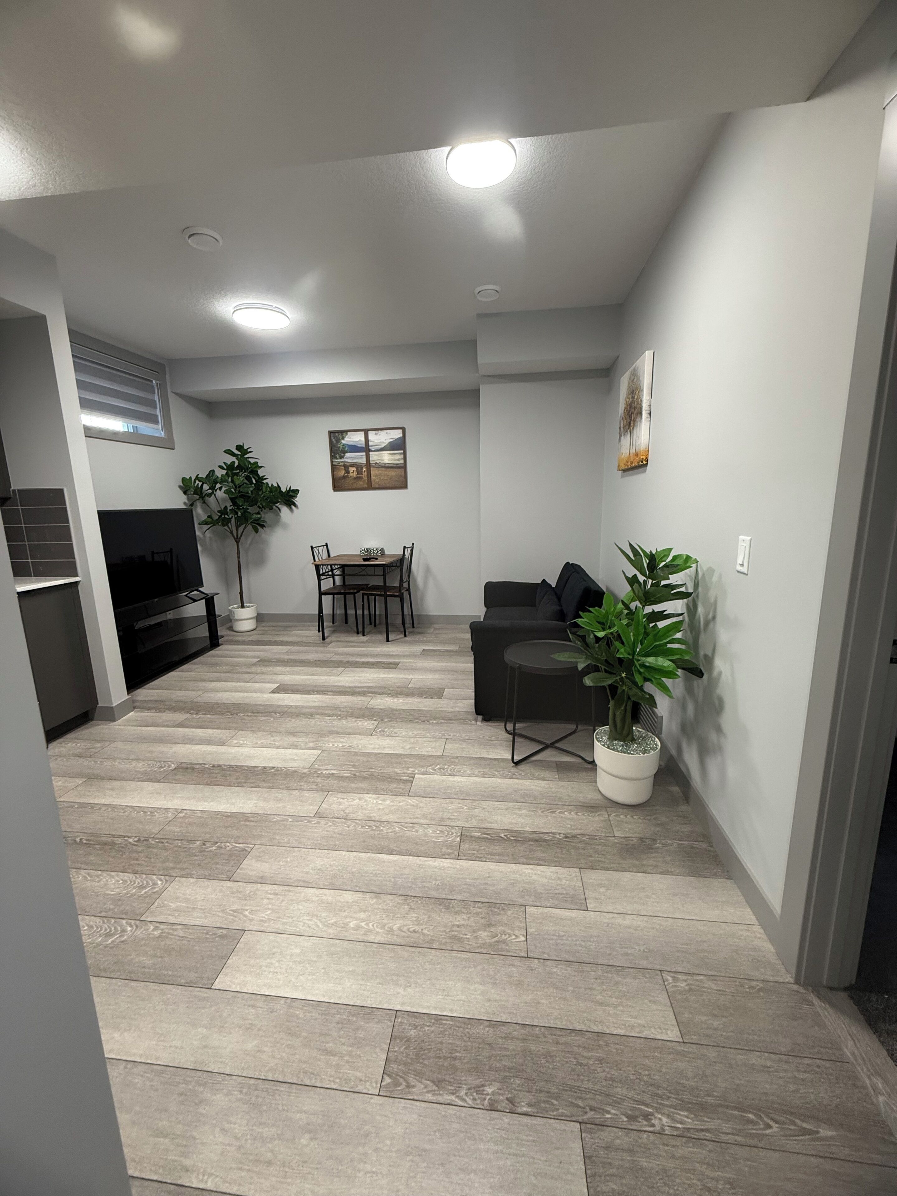 Ein modernes Wohnzimmer mit Essbereich, einer Couch, einem Couchtisch und zwei Blumentöpfen.
