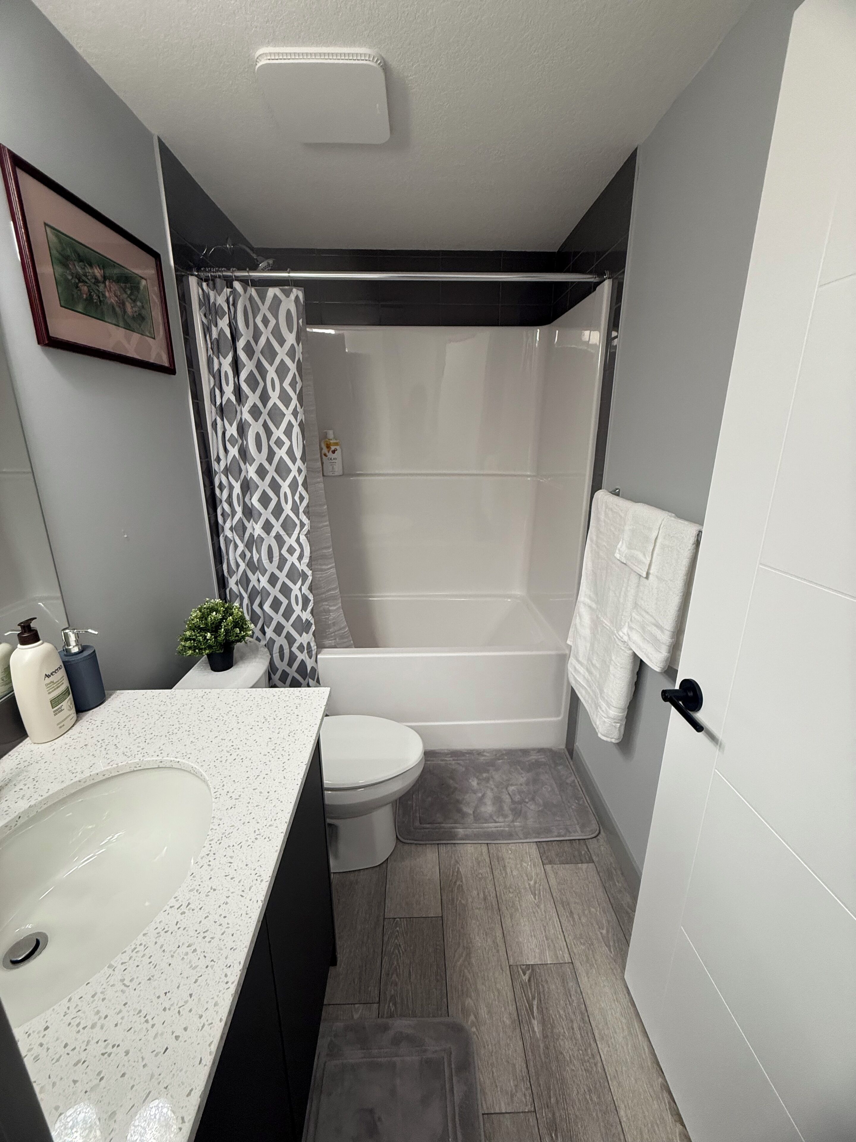 Séchoir à cheveux, bidet, serviettes fournies, savon