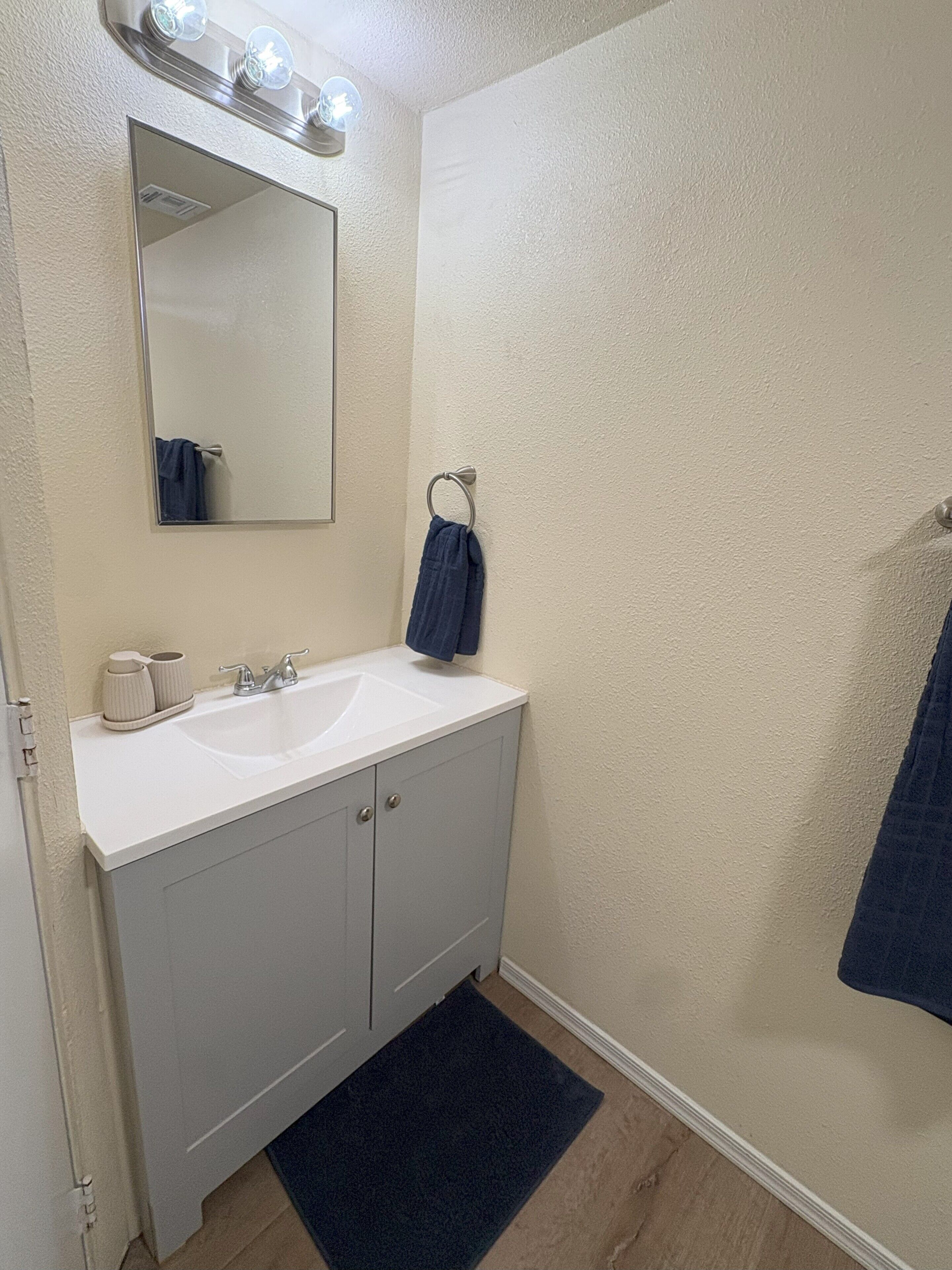 A bathroom with a white sink, a mirror, and a towel ring.