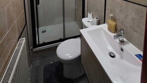 A bathroom with a glass-enclosed shower, a white toilet, and a sink with a mirror. - Room 3 in sheffield (Sheffield)