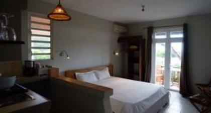 Ocean View Guesthouse in Tamarin, Pool, Sunset