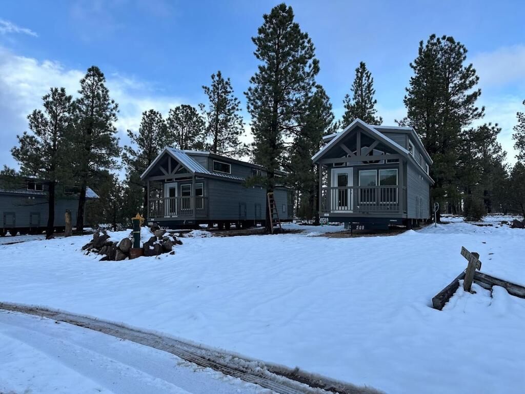 Two cabins with a snow-covered ground, surrounded by tall pine trees.