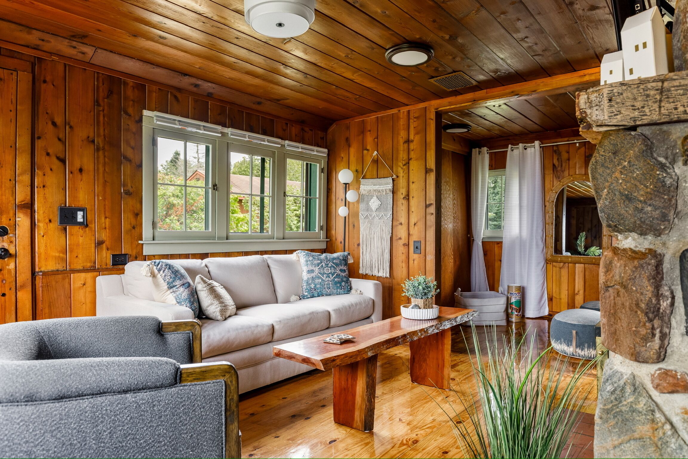 Smart TV, fireplace, DVD player, books