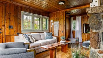 Smart TV, fireplace, DVD player, books