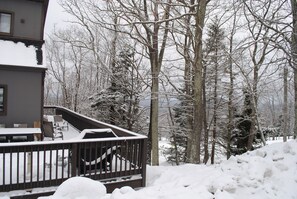 Property grounds - Epic Renovated Slopeside Unit feet from Camelback Mountain- Laurel Glade Trail. (Tannersville)