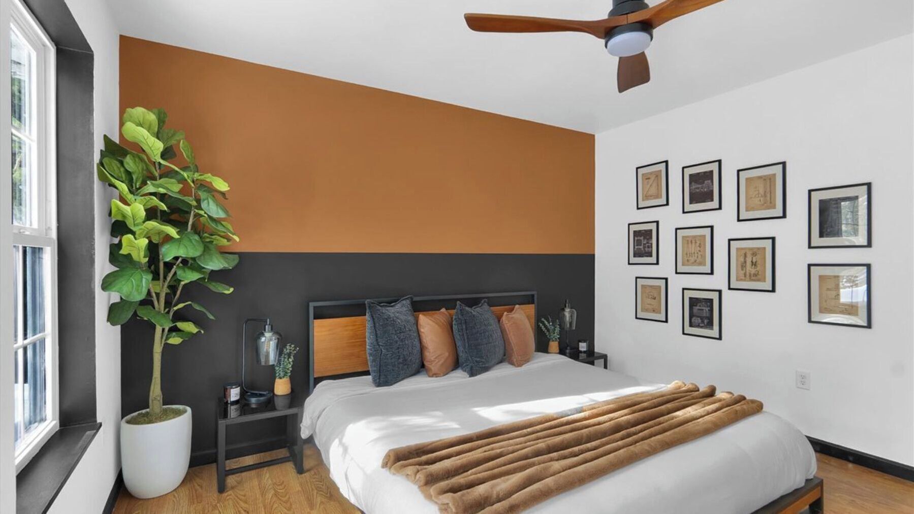 Une chambre à coucher avec un lit, une table de chevet, une plante en pot, un ventilateur de plafond et des tableaux encadrés accrochés au mur.