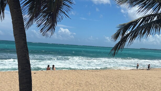 A beach with palm trees, ocean waves, and people. - Beachfront apartment w pools, tennis, gym parking in TOP PR TOURISM CONDADO SJU (Luquillo)