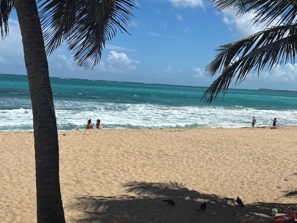 A beach with palm trees, ocean waves, and people.