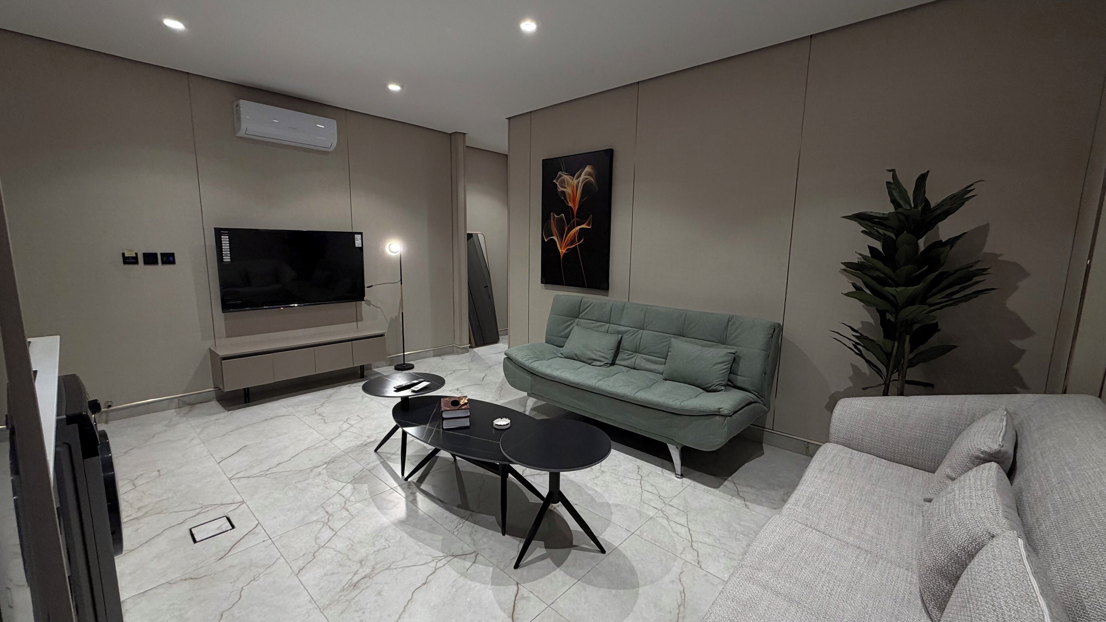 Ein modernes Wohnzimmer mit Flachbildfernseher, einer Couch, einem Couchtisch und einer großen Pflanze.