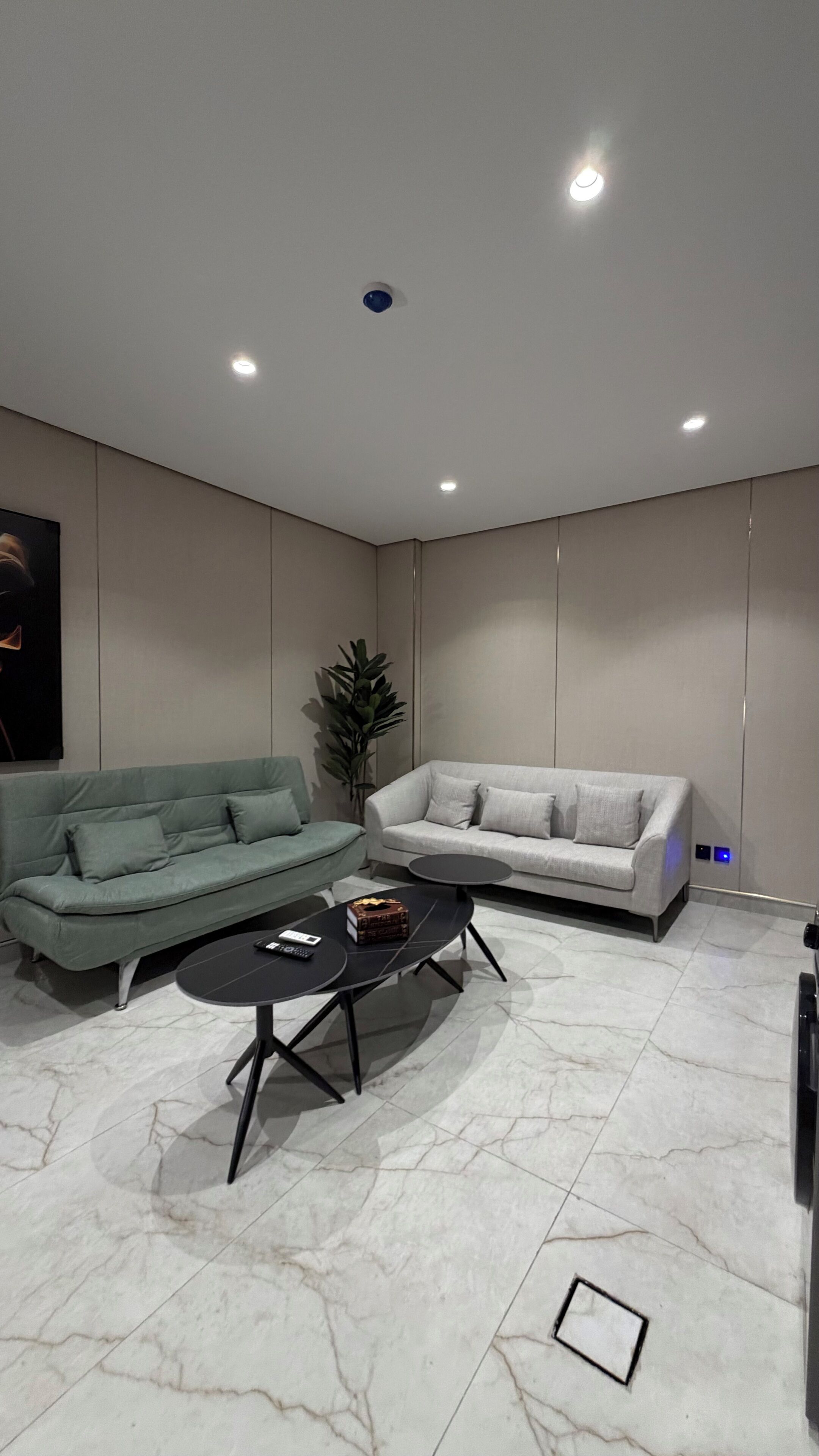 Ein modernes Wohnzimmer mit zwei Sofas, einem Couchtisch und einer Zimmerpflanze.