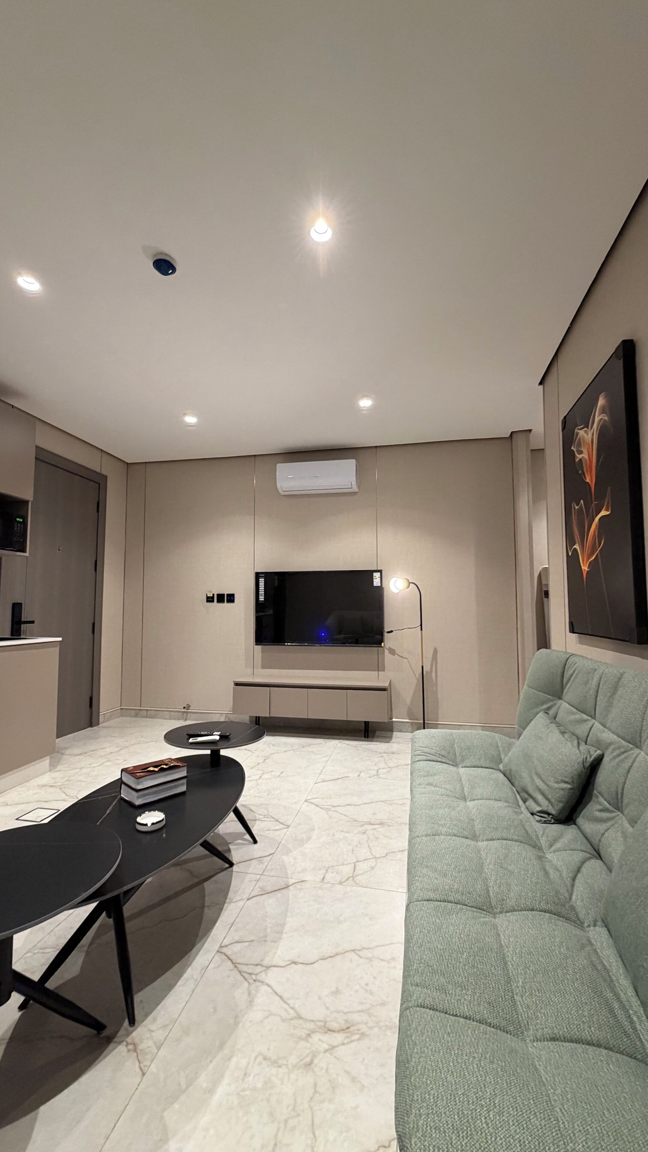 Apartment, 1 Bedroom, Accessible, Smoking | Living room