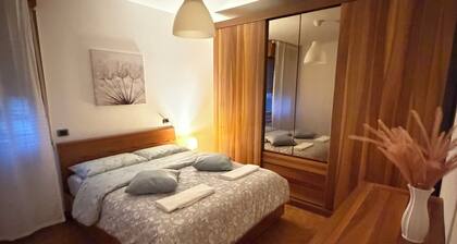 Spacious apartment with terrace, free parking