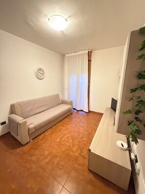 TV - Spacious apartment with terrace, free parking (Pisa)
