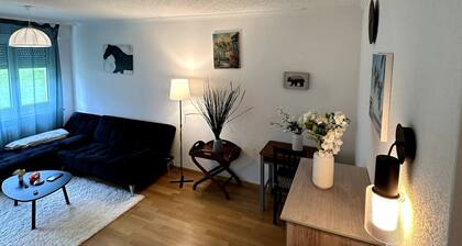 Furnished Apartment in Baden