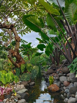 Jardines del alojamiento