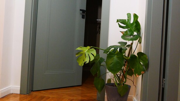 Een hal met houten vloer, een grijze deur en een potplant.