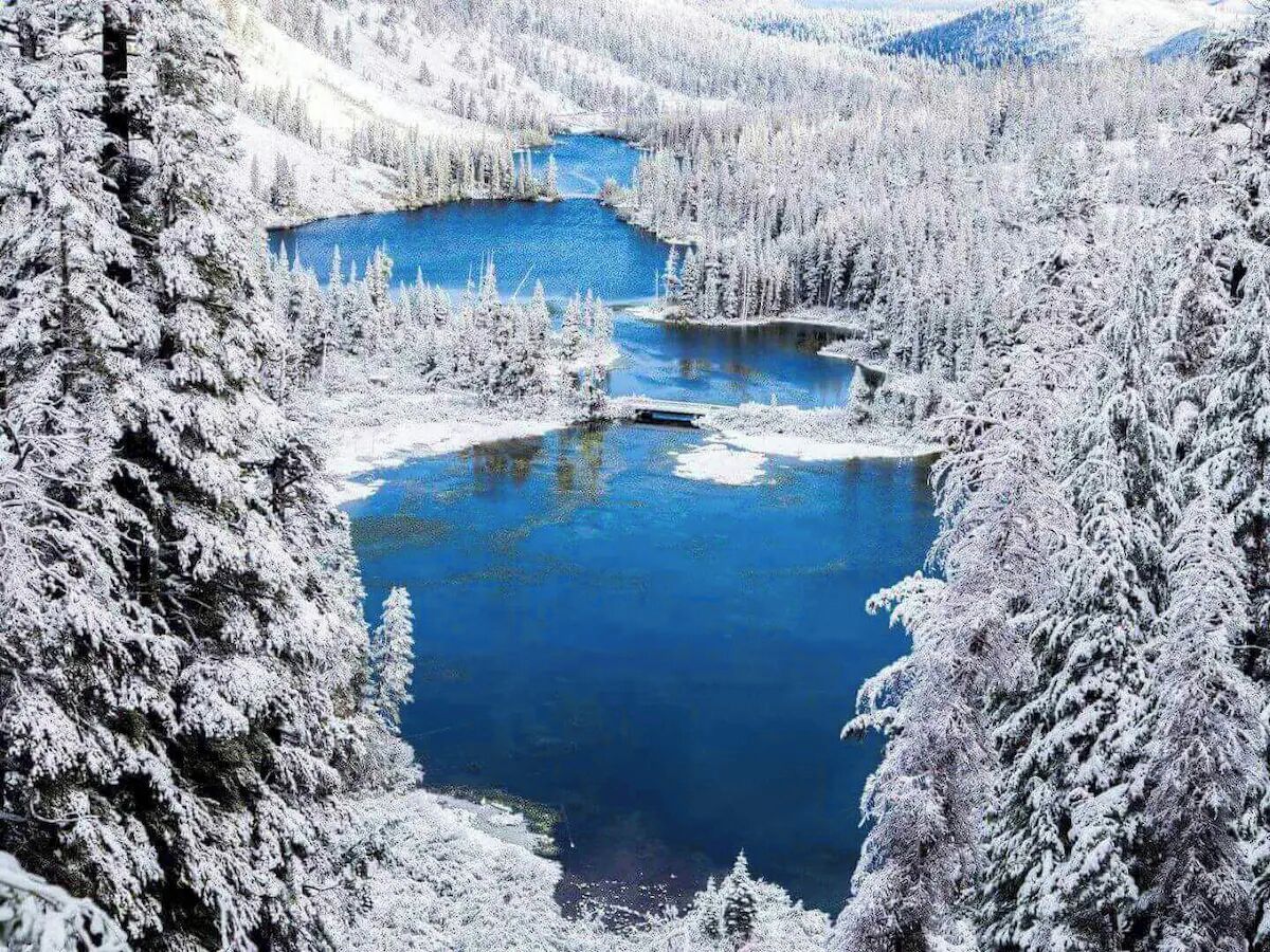 Schneebedeckte Landschaft mit Fluss und dichtem Wald.