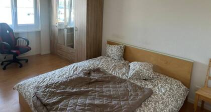 Cosy Apartment in Aadorf