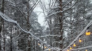 A snow-covered deck with a railing, surrounded by trees. - Cheboygan Michigan Escape – River Views & Adventure Nearby.  (Cheboygan)