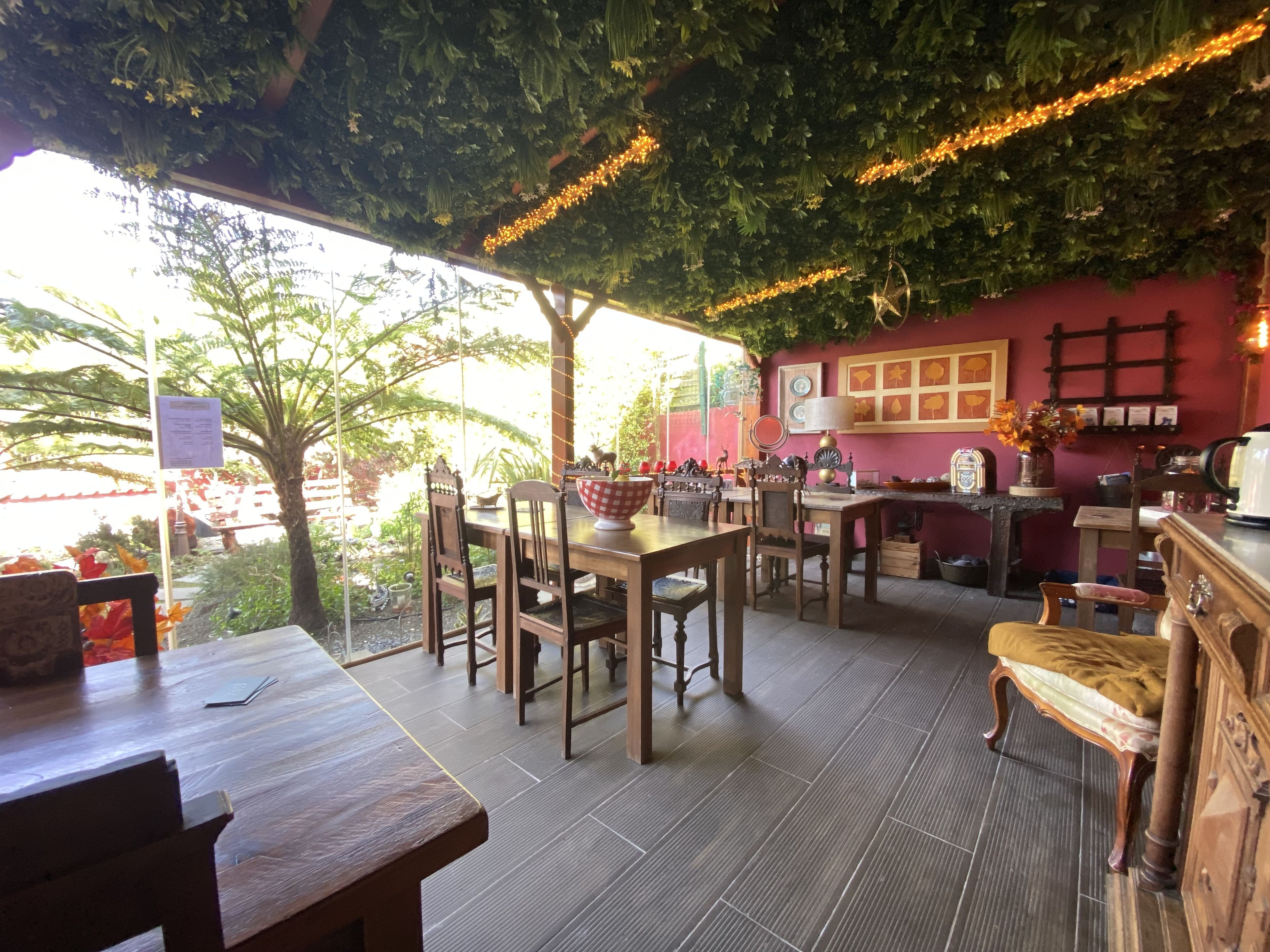 Un espace de restauration intérieur avec des tables et des chaises en bois, un bar avec un comptoir, et une vue sur l’extérieur grâce à de grandes fenêtres.