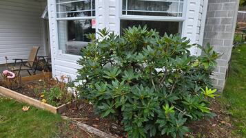 Kamar, 2 kamar tidur, patio | Detail eksterior