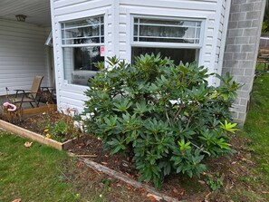 Habitación, 2 habitaciones, patio | Detalle exterior