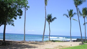 Uma praia com palmeiras e ondas do oceano.