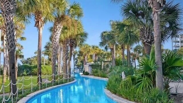 Piscina sinuosa cercada por palmeiras e vegetação.