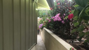 Un sendero estrecho bordeado por un muro verde y una jardinera con flores rosas.