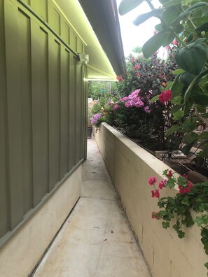 Exterior detail - Superb 1-bedroom Guest Suite in sunny La Jolla just perfect for a getaway trip! (San Diego)