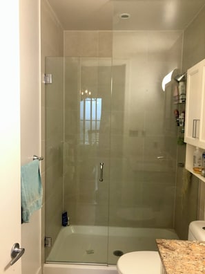 Shower, jetted tub, hair dryer, towels