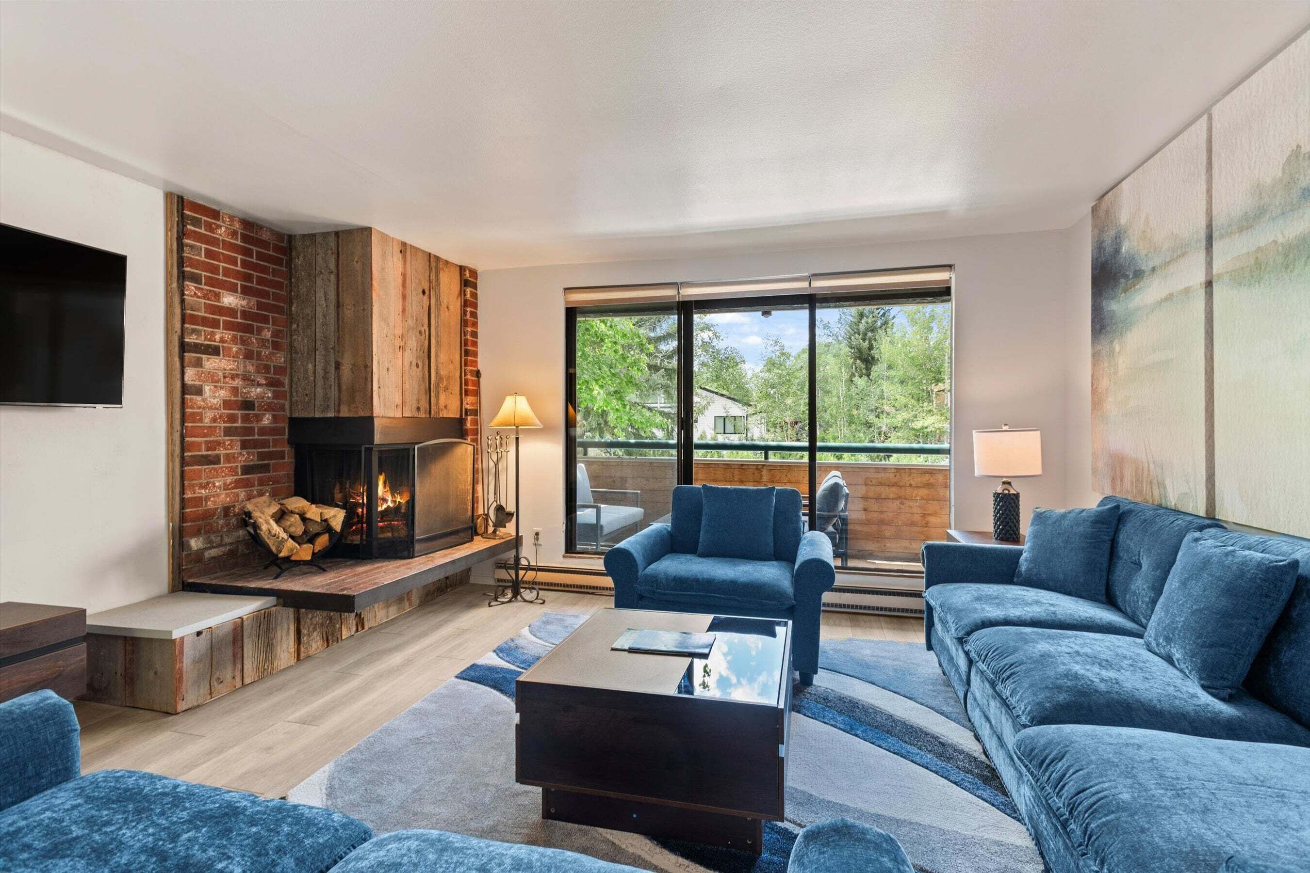 TV, fireplace