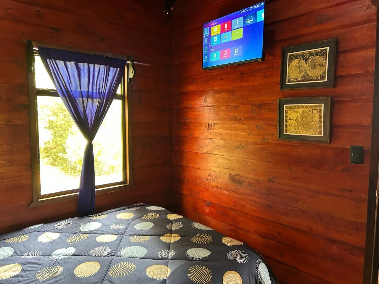 Una stanza con un letto, una finestra con tende, una TV a muro e quadri appesi al muro.