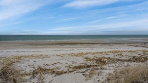 Een strand met zand, wier en een heldere lucht.