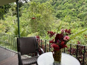 Terrace/patio - Villa Tranquil Toucan Valley Jungle Resort (Ciudad Cortés)