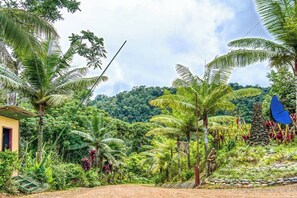 Property grounds - Villa 1B Toucan Valley Jungle Resort (Ciudad Cortés)