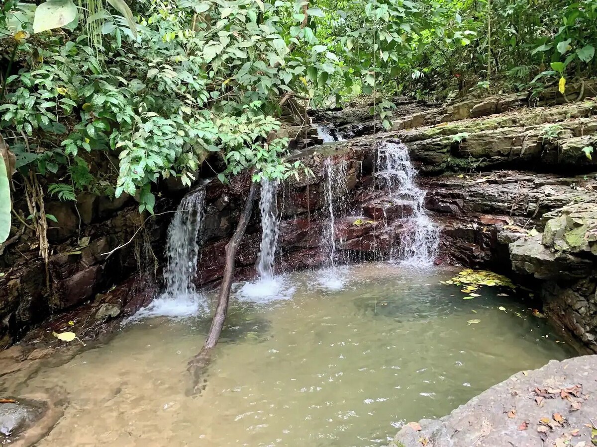 Imagen de perfil del propietario o de la propietaria