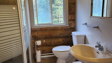 Dusche, HandtĂŒcher, Toilettenpapier